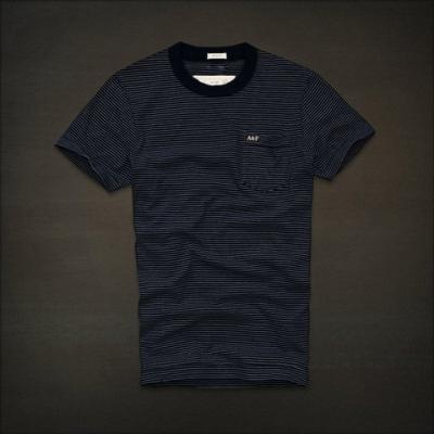 Hollister Men Shirts-364